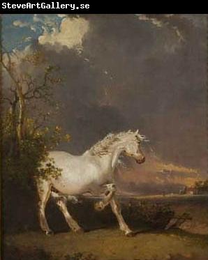 James Ward A horse in a landscape startled by lightning